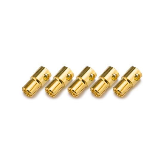 Prise or type PK 6mm male (5 pieces)